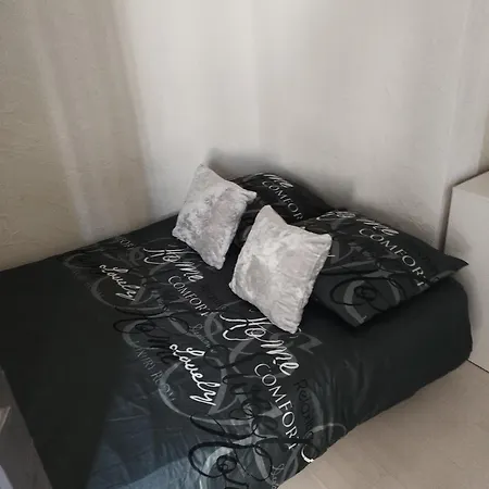 Apartment T3 Au Coeur De Grenoble