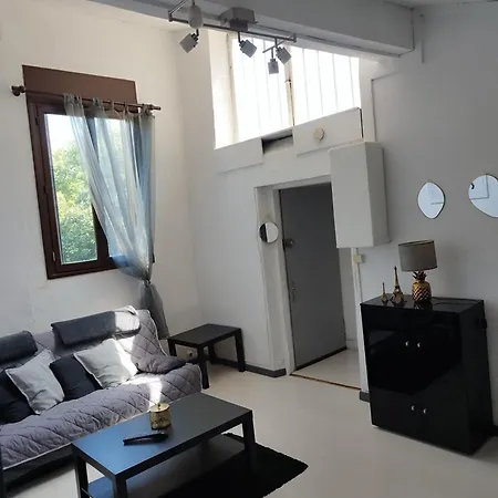 Apartment T3 Au Coeur De Grenoble